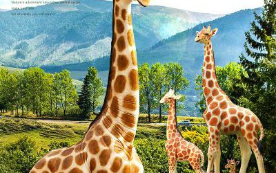 公園景區玻璃鋼彩繪大型仿真動物長頸鹿雕塑