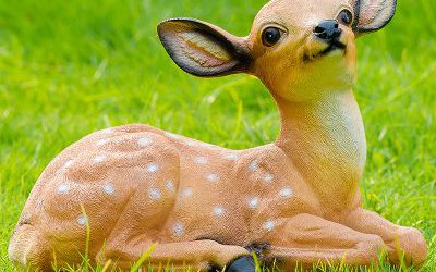 草坪上一只臥著的玻璃鋼仿真動物梅花鹿雕塑