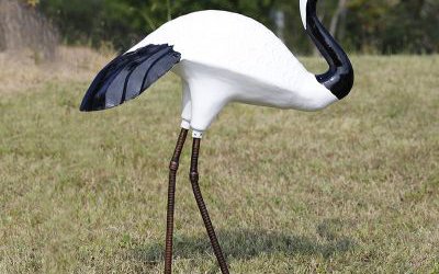 戶外草坪玻璃鋼仿真仙鶴雕塑