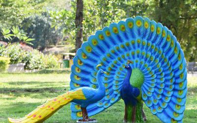 動(dòng)物園玻璃鋼仿真玻璃鋼彩繪孔雀雕塑