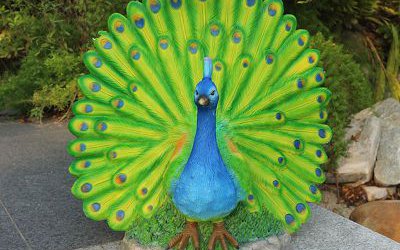 公園里開屏的玻璃鋼彩繪孔雀雕塑
