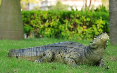 動物草坪玻璃鋼仿真到動物鱷魚雕塑