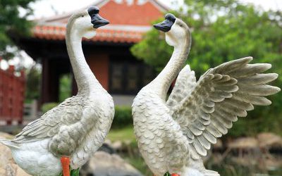 湖邊池塘邊游玩的玻璃鋼仿真動物天鵝雕塑