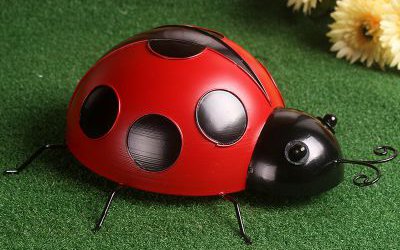 室內擺放的玻璃鋼仿真七星瓢蟲雕塑