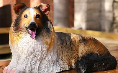 室內(nèi)創(chuàng)意玻璃鋼仿真動物景觀狗雕塑