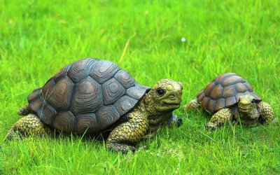 戶外草坪玻璃鋼仿真動物烏龜?shù)袼?>
	                <div>戶外草坪玻璃鋼仿真動物烏龜?shù)袼?/div>
	            </a>
	        	            <a href=