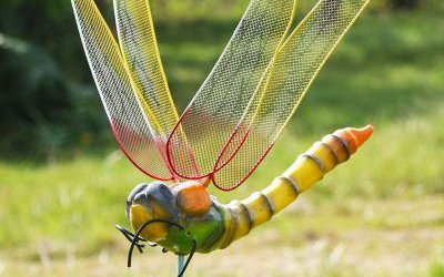 戶外公園創意玻璃鋼仿真蜻蜓雕塑